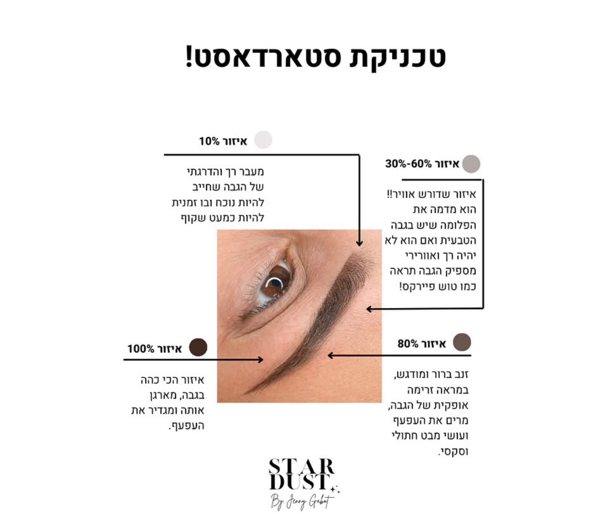 סכמה מלאה של טכניקת Stardust ואזורי הצפיפות בגבה