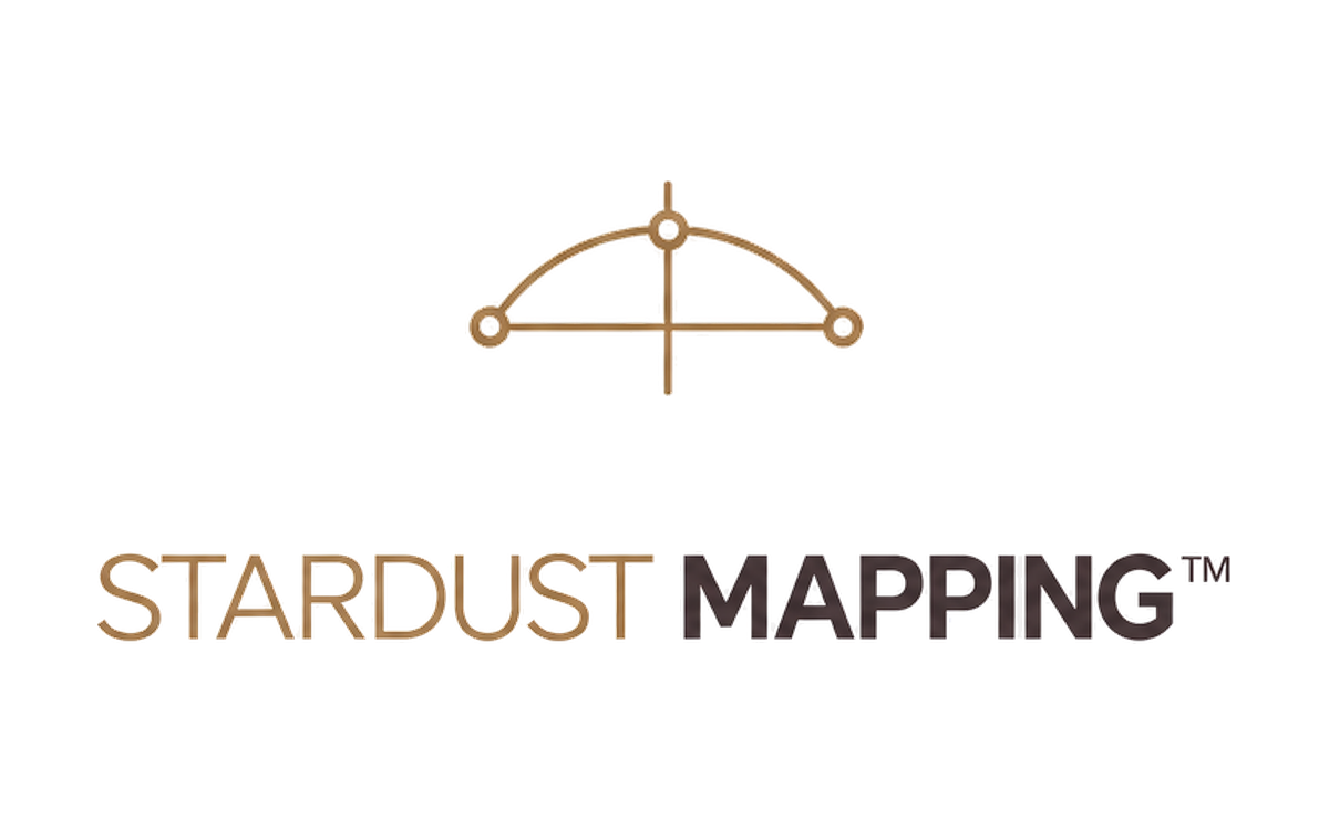 STARDUST MAPPING — מיפוי הנדסי